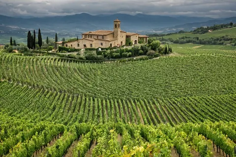 Stone villa with bell tower nestled among terraced vineyards on a cloudy day.